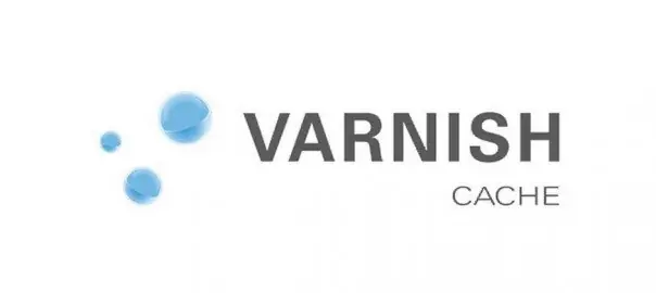 varnish-604x270-1