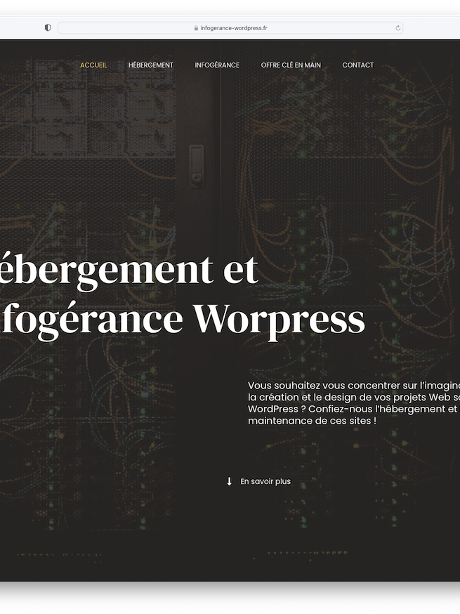 infogerance-wordpress-bldwebagency