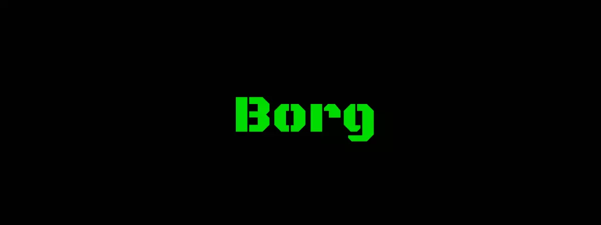 borgbackup-server-self-hosted